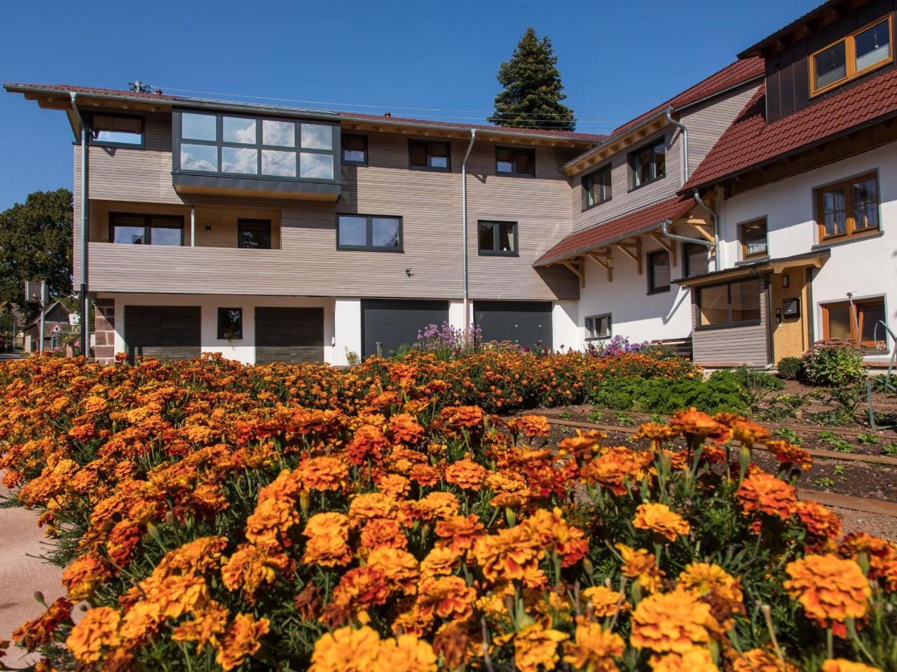 Saunaloft Schwarzwald Gemeinde Gemeinde Aichhalden Buitenkant foto
